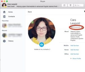 profile-with-skype-name-blurred